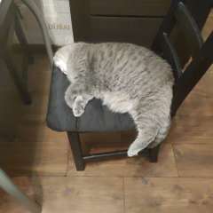 Фото отзыва 11027489