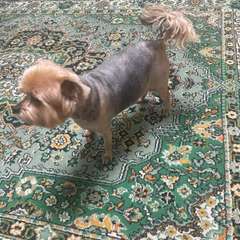 Фото отзыва 10984435