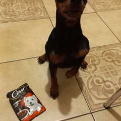 Фото отзыва 2954184