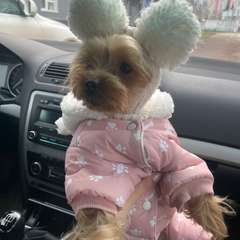 Фото отзыва 10582164