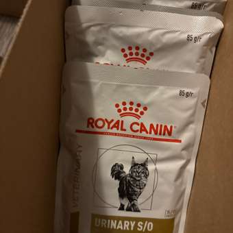 Корм для кошек ROYAL CANIN 350г Urinary S/O: отзыв пользователя. Зоомагазин Зоозавр