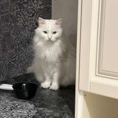 Фото отзыва 10530554