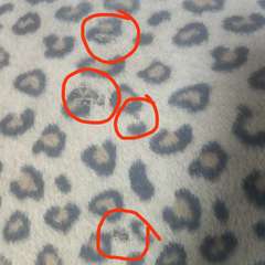 Фото отзыва 11024615