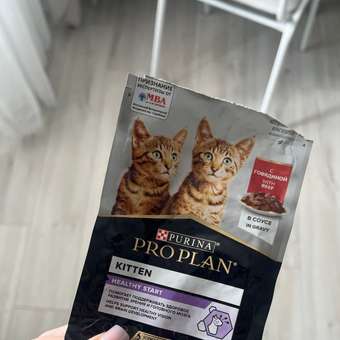 Корм влажный для котят PRO PLAN HEALTHY START 85г с говядиной в соусе: отзыв пользователя. Зоомагазин Зоозавр