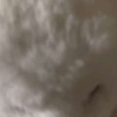 Видео отзыва 10732712