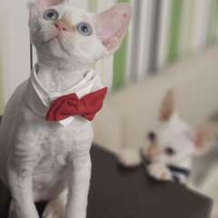 Фото отзыва 11097385