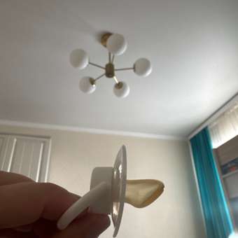 Пустышка Lubby латекс от 0 мес.: отзыв пользователя Детский Мир