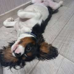 Фото отзыва 10990127