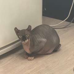 Фото отзыва 10780369