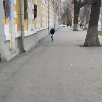 Городской самокат Plank двухколесный: отзыв пользователя Детский Мир