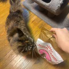 Фото отзыва 10675250