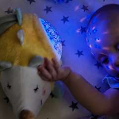 Фото отзыва 10544200