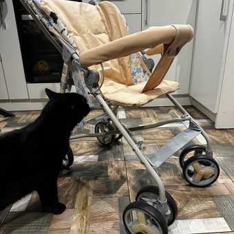 Коляска прогулочная Babyton Light бежевый: отзыв пользователя Детский Мир