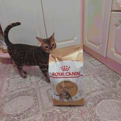 Фото отзыва 10967930