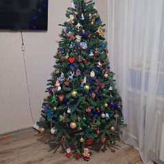 Фото отзыва 10791084