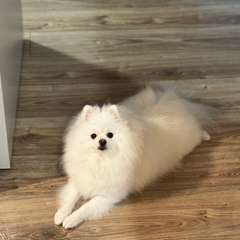 Фото отзыва 10693193