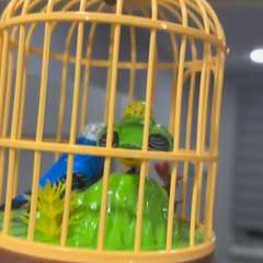 Видео отзыва 10641970