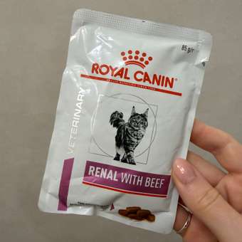 Корм для кошек ROYAL CANIN Renal with beef для поддержания функции почек 85г: отзыв пользователя. Зоомагазин Зоозавр
