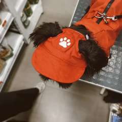 Фото отзыва 11311428