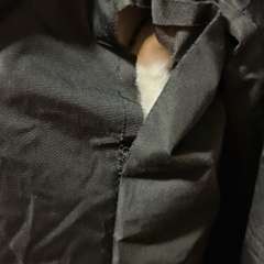 Фото отзыва 11113152