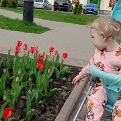 Фото отзыва 6765629