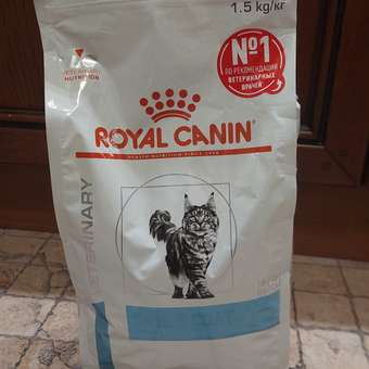 Корм для кошек ROYAL CANIN Skin&Coat Formula кастрированных идеальная кожа и шерсть1.5кг: отзыв пользователя. Зоомагазин Зоозавр