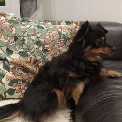 Фото отзыва 10697044