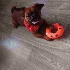 Фото отзыва 4640816