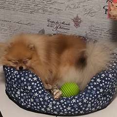 Фото отзыва 10946878