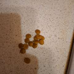 Фото отзыва 10776239