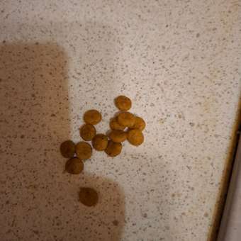 Корм для кошек ROYAL CANIN Hepatic для поддержания функции печени 350г: отзыв пользователя. Зоомагазин Зоозавр