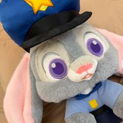 Фото отзыва 10566144