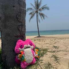 Фото отзыва 11261704