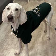 Фото отзыва 10464871