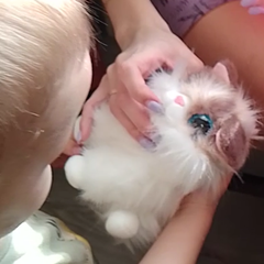 Фото отзыва 11310997