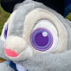 Фото отзыва 10590430