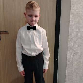 Рубашка Chessford: отзыв пользователя Детский Мир