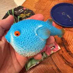 Фото отзыва 11123334