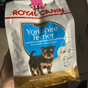 Корм для щенков ROYAL CANIN Yorkshire Terrier Puppy 500г: отзыв пользователя. Зоомагазин Зоозавр