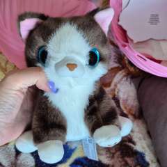 Фото отзыва 11167263