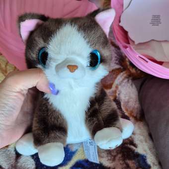 Мягкая игрушка Zuru Pets Alive Smitten Kittens в ассортименте: отзыв пользователя Детский Мир