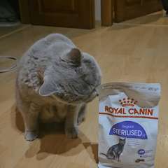 Видео отзыва 10939055