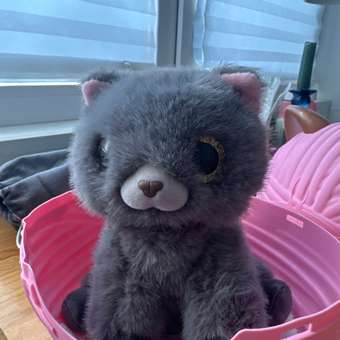 Мягкая игрушка Zuru Pets Alive Smitten Kittens в ассортименте: отзыв пользователя Детский Мир