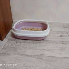 Фото отзыва 10513857