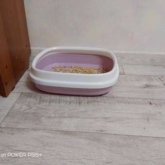 Лоток для кошек Не Один Дома Чистота M 40*34*12см Фиолетовый: отзыв пользователя. Зоомагазин Зоозавр