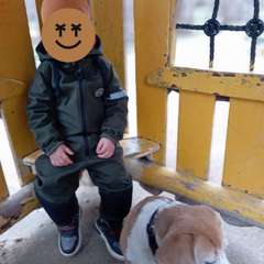 Фото отзыва 11279228