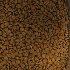 Фото отзыва 10673266