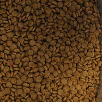 Корм для собак ROYAL CANIN Gastrointestinal low fat мелких пород 3кг: отзыв пользователя. Зоомагазин Зоозавр