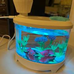 Фото отзыва 10601156