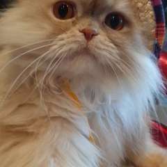 Фото отзыва 10605373